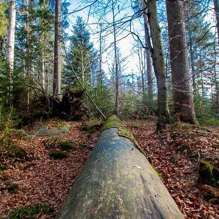 Draxlerhof Penzion