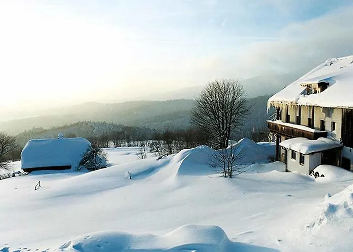 Draxlerhof Neuschönau