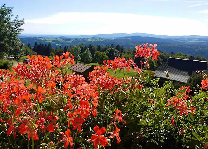 בית הארחה Draxlerhof Neuschönau